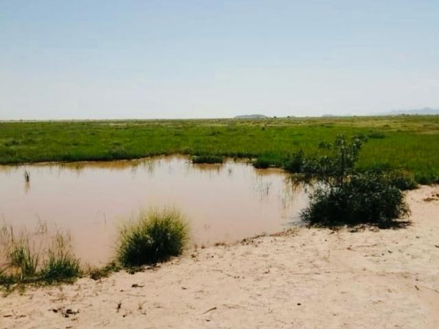 Departamento en venta en Nuevo Casas Grandes