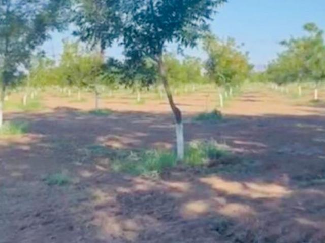 Rancho en venta en Chihuahua