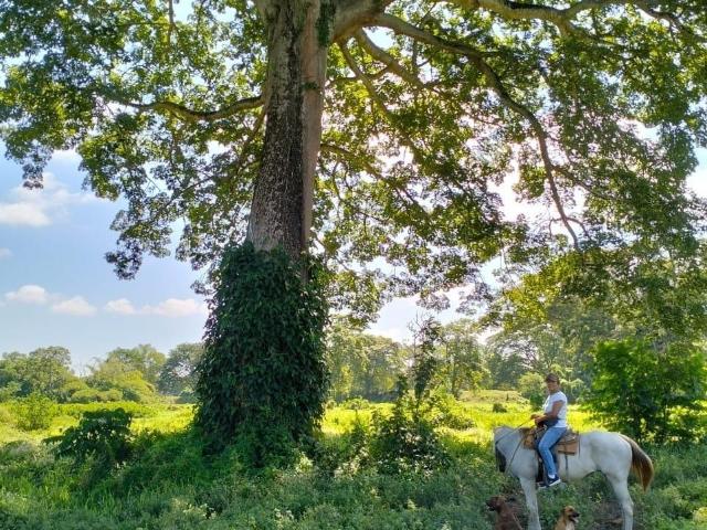 Rancho en venta en Pijijiapan, Chiapas