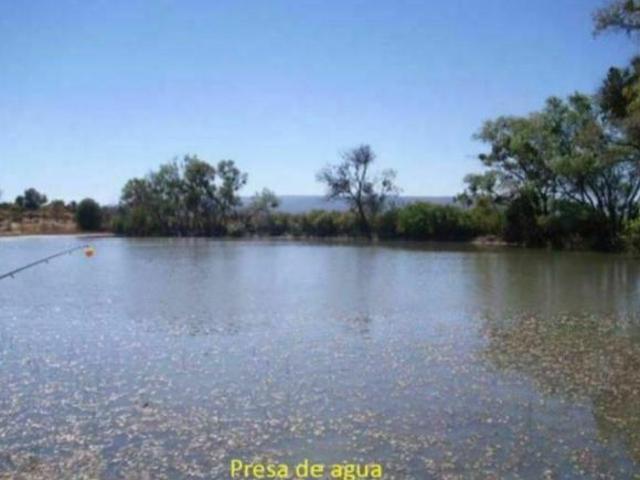 Rancho en venta en Ojuelos De Jalisco