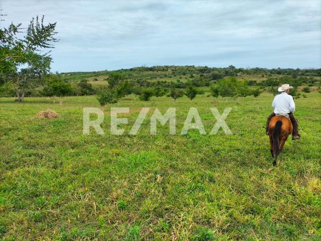 Quinta en venta en Tamalín, Veracruz