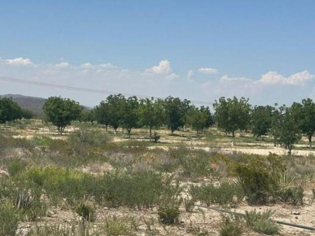 RANCHO EN VENTA EN PARRAS, COAHUILA