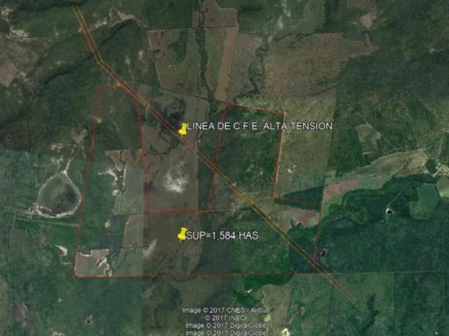 RANCHO EN VENTA EN POR LAS ADJUNTAS EN MUNICIPIO DE GONZALEZ EN TAMAULIPAS