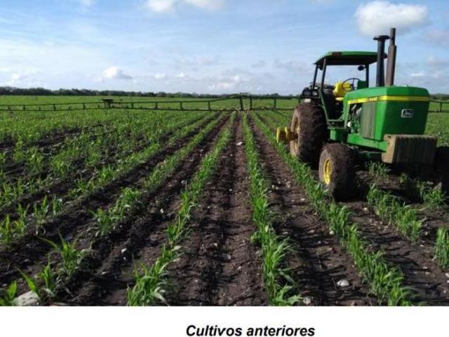 RANCHO EN VENTA EN POR LAS ADJUNTAS EN MUNICIPIO DE GONZALEZ EN TAMAULIPAS