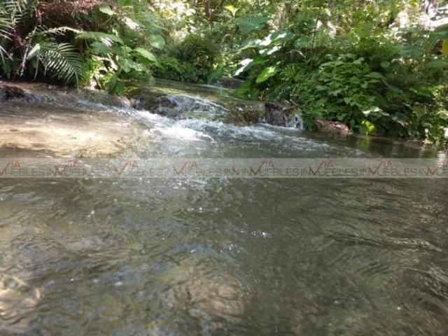 Rancho en venta en Rayones, Nuevo León