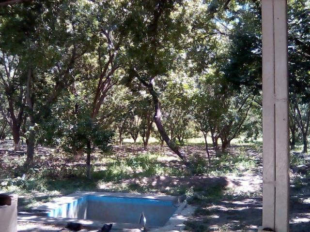 Rancho en venta en Rayones, Nuevo León
