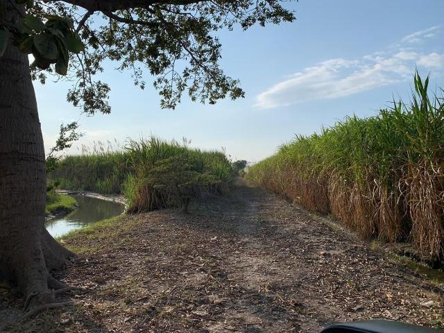 Rancho en venta en Venustiano Carranza, Chiapas