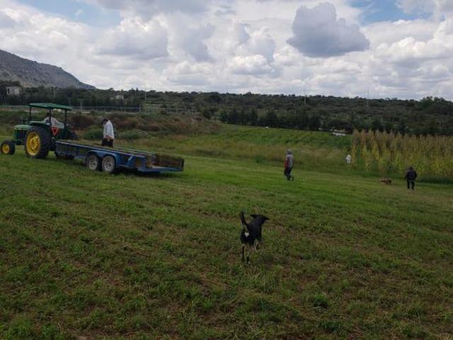 Rancho en venta en San Luis de la Paz