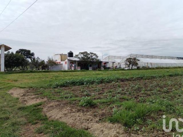 Rancho en venta en San Martín Texmelucan, Puebla