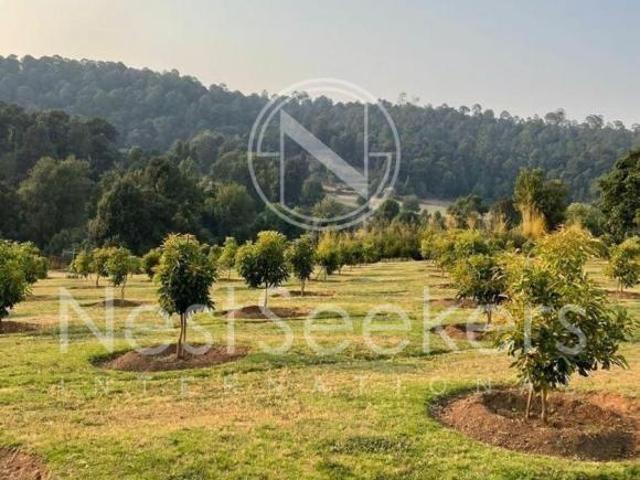 Rancho en venta en Valle De Bravo, Estado de México