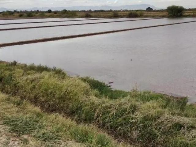 Rancho en venta en Francisco I. Madero, Coahuila