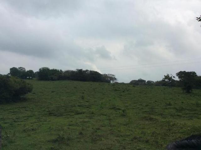 RANCHO EN VENTA EN TAMIAHUA, VERACRUZ
