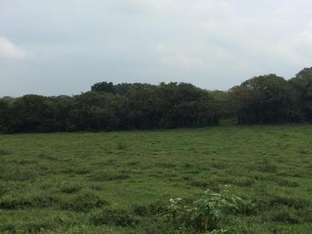 RANCHO EN VENTA EN TAMIAHUA, VERACRUZ