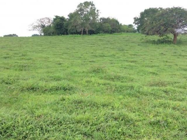 RANCHO EN VENTA EN TAMIAHUA, VERACRUZ