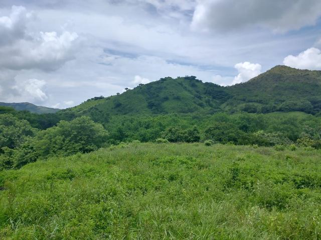 Rancho en venta en San Pedro Tapanatepec, Oaxaca