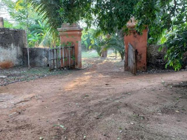 Rancho en venta en Tekax, Yucatán