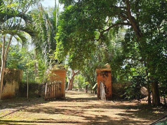Terreno en venta en Tekax, Yucatán