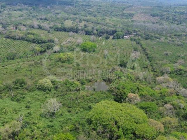 Rancho en venta en Tepetzintla, Veracruz