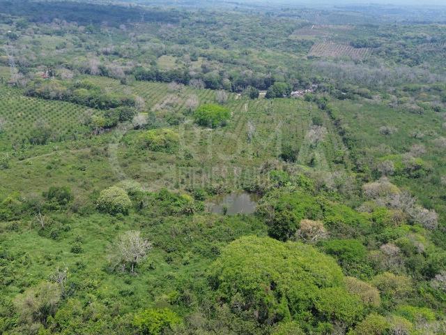 Departamento en venta en Tepetzintla, Veracruz