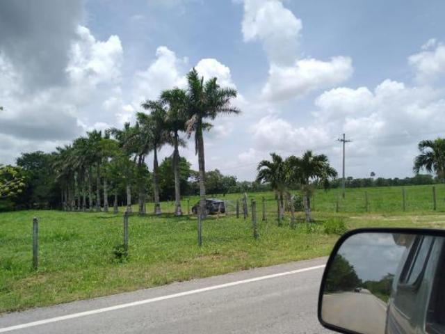 Rancho en venta en Centro, Tizimin