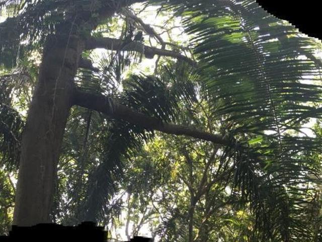 Rancho en venta en Tuxpan, Veracruz