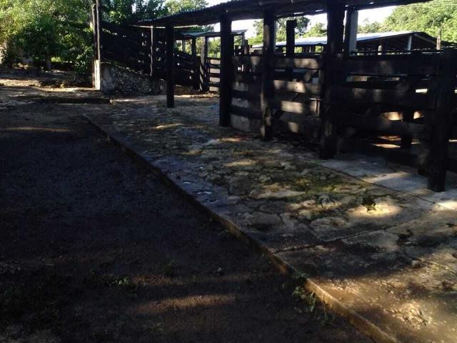Rancho en venta en Sucilá, Yucatán