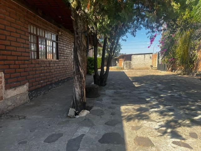 Rancho en venta en Zapotlanejo, Jalisco