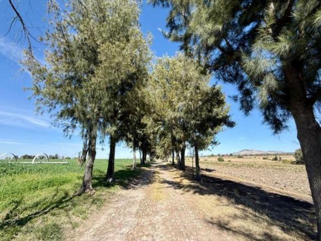 Rancho en venta en Encarnación De Díaz, Jalisco