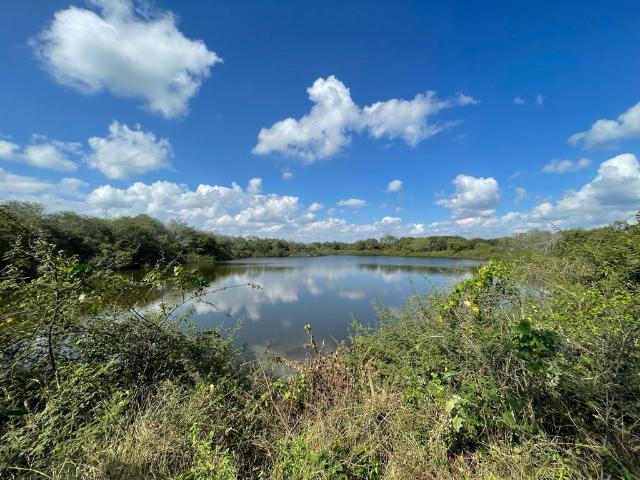Quinta en venta en Altamira, Tamaulipas