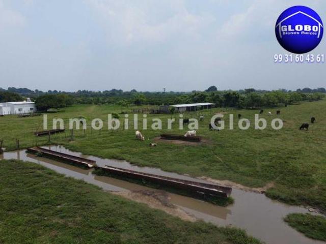 Rancho en venta, ganadero y agrícola. 78 hectáreas, zona alta no inundable, a 30 kms de Huimanguillo