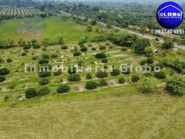 Rancho en venta, ganadero y agrícola. 78 hectáreas, zona alta no inundable, a 30 kms de Huimanguillo