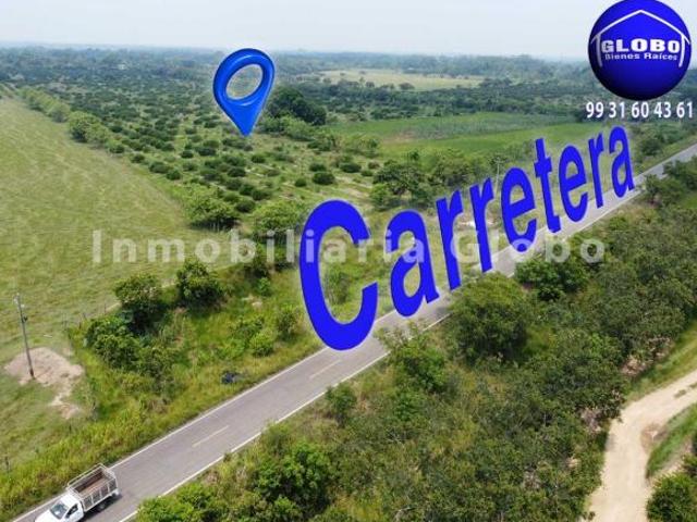 Rancho en venta, ganadero y agrícola. 78 hectáreas, zona alta no inundable, a 30 kms de Huimanguillo