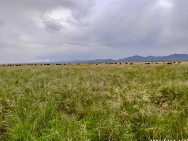 Terreno en venta en Ahumada, Chihuahua