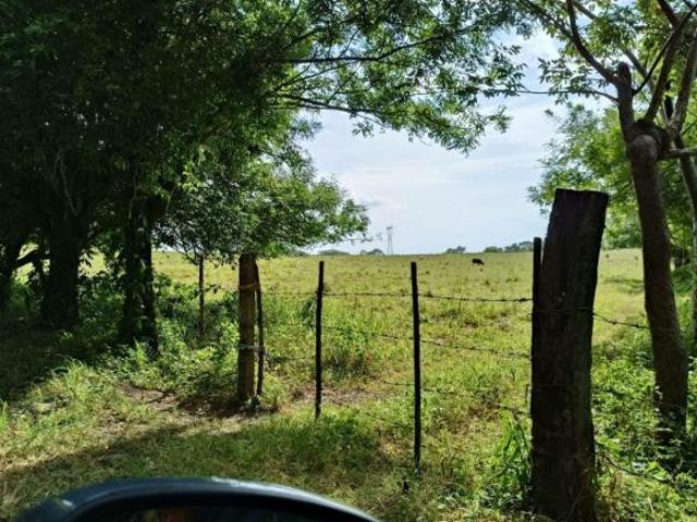 Rancho en venta en Jamapa
