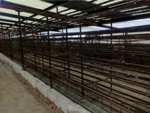 RANCHO EN VENTA LA PROVIDENCIA EN EL LLANO