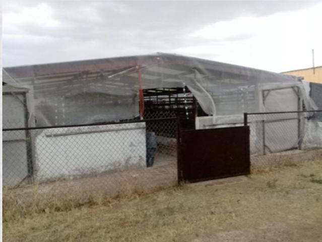RANCHO EN VENTA LA PROVIDENCIA EN EL LLANO