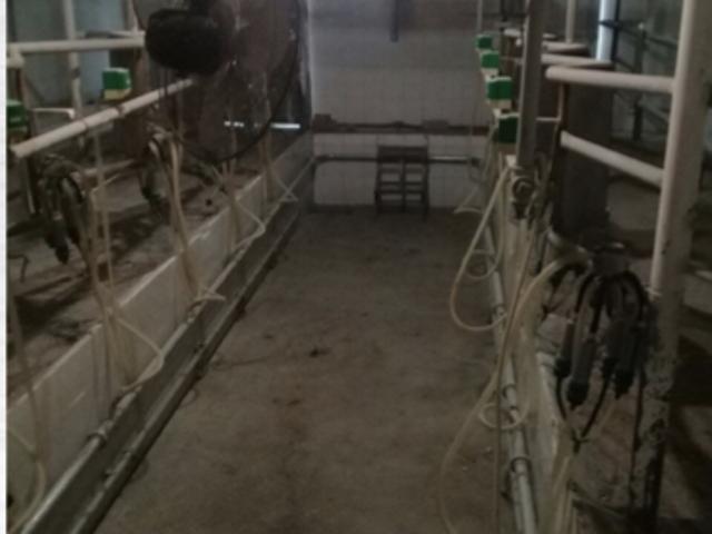 RANCHO EN VENTA LA PROVIDENCIA EN EL LLANO