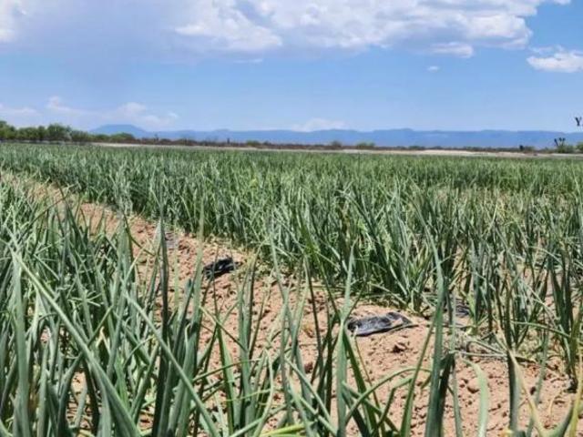Rancho en venta, Monclova, Coahuila de Zaragoza