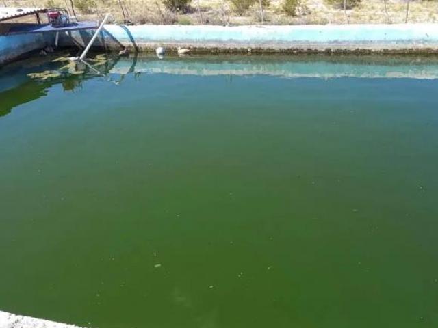 Rancho en venta, Monclova, Coahuila de Zaragoza