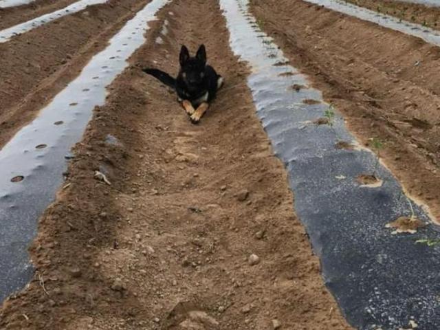 Rancho en venta, Monclova, Coahuila de Zaragoza