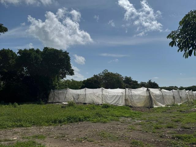 Rancho en venta en Cansahcab, Yucatán