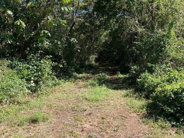 Rancho en venta en Oxkutzcab, Yucatán