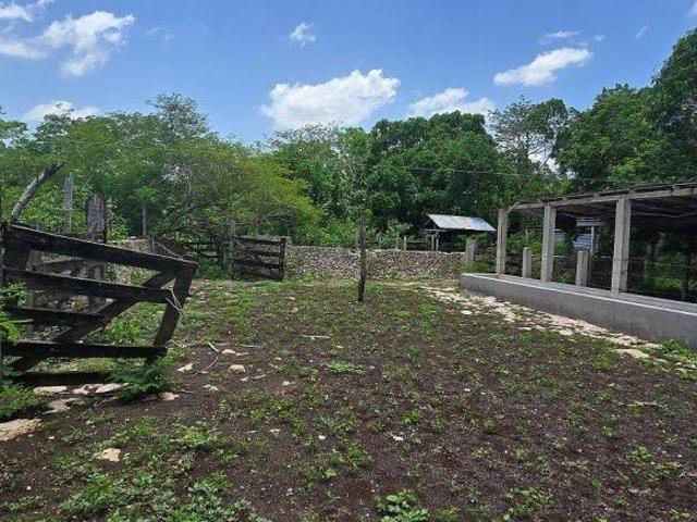 Rancho en venta en Panabá, Yucatán