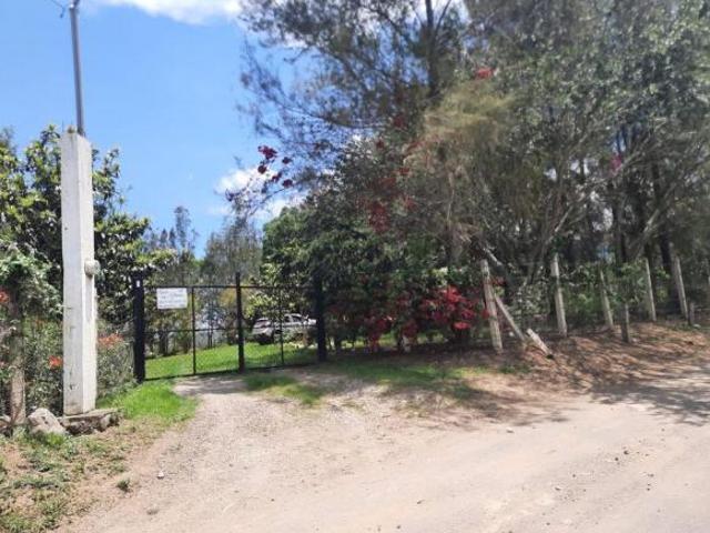 Rancho en venta en Zapotlán El Grande, Jalisco