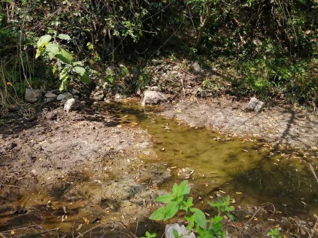 Terreno en venta en Ciudad Valles, San Luis Potosí