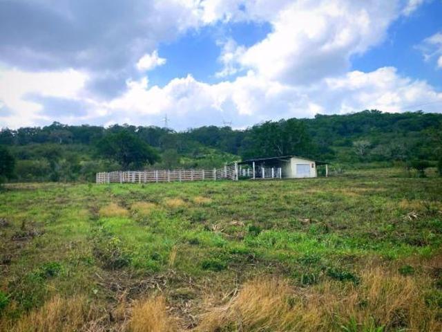 Rancho en venta en Tampico Alto, Veracruz