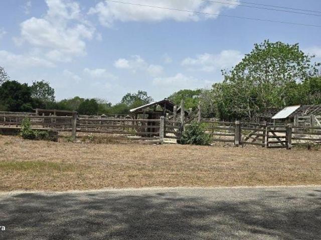 Rancho en venta en Tizimin, Tizimín