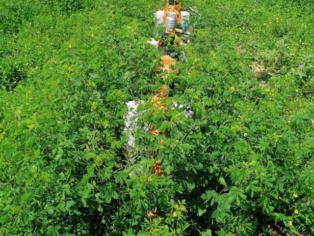 Rancho en venta en Tzucacab, Yucatán