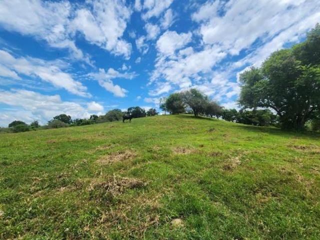 RANCHO EN VENTA UBICADO EN LA NORIA, TEMPOAL VERACRUZ, INF. 833 477 1120