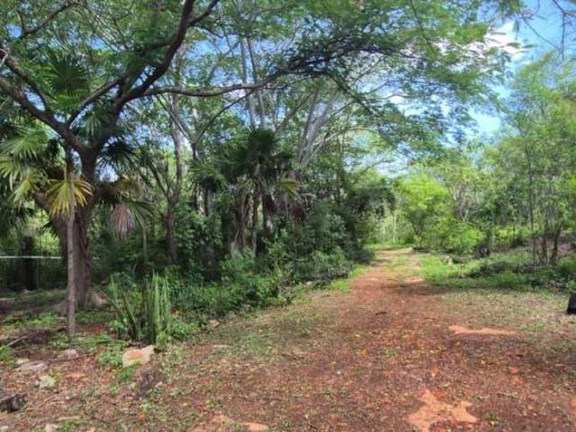 Rancho en venta en Seyé, Yucatán